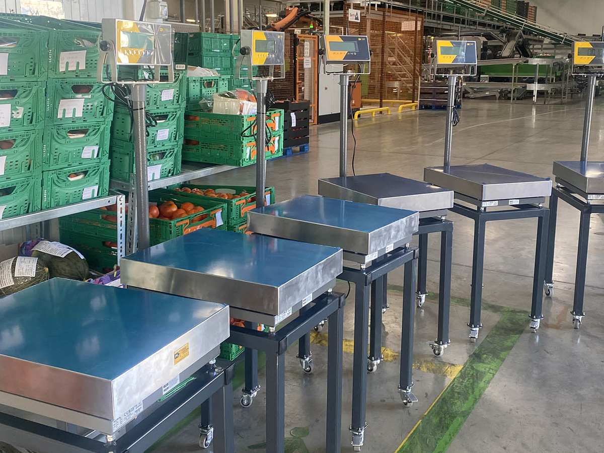 Instalación de control de pesaje